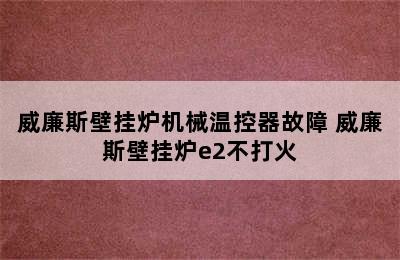 威廉斯壁挂炉机械温控器故障 威廉斯壁挂炉e2不打火